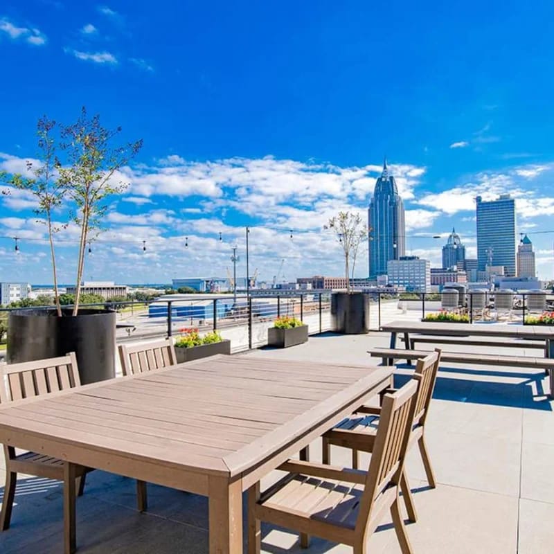 Beautiful 1 BR Renovated Apt in downtown